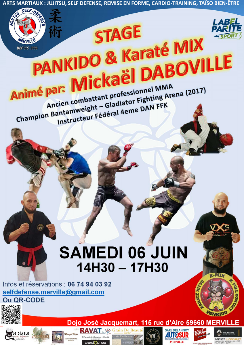 Stage de Pankido animé par Michael DABOVILLE