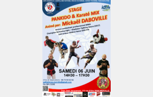 Stage de Pankido animé par Michael DABOVILLE