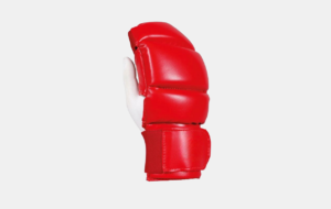 Gants / Mitaines de Jujitsu